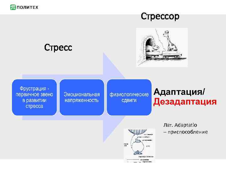 Стрессор Стресс Адаптация/ Дезадаптация Лат. Adaptatio – приспособление 