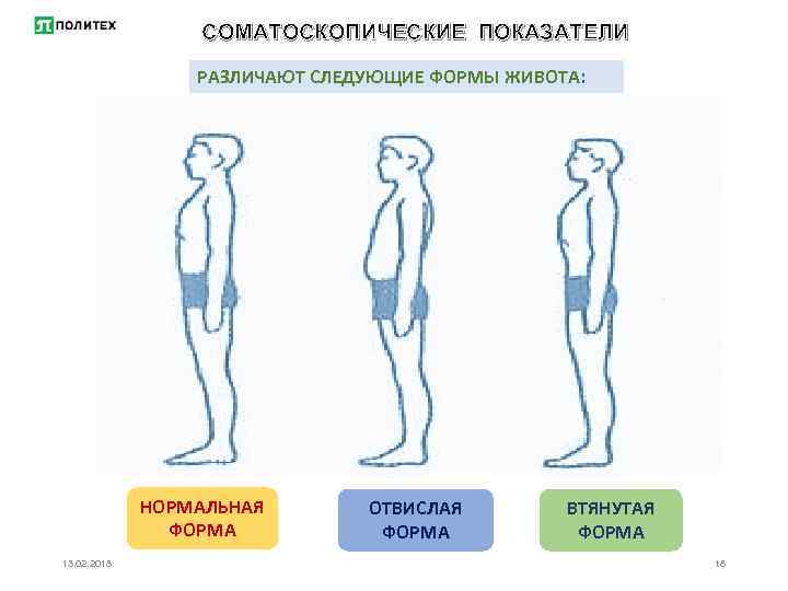 СОМАТОСКОПИЧЕСКИЕ ПОКАЗАТЕЛИ РАЗЛИЧАЮТ СЛЕДУЮЩИЕ ФОРМЫ ЖИВОТА: НОРМАЛЬНАЯ ФОРМА 13. 02. 2018 ОТВИСЛАЯ ФОРМА ВТЯНУТАЯ