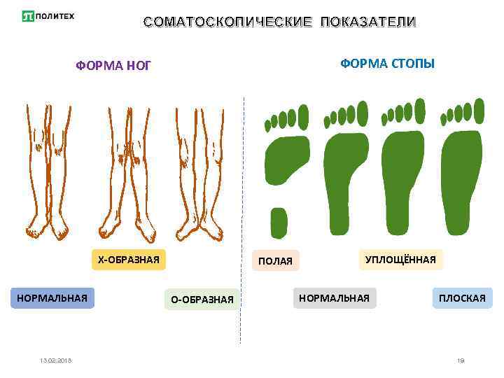 Форма стопы