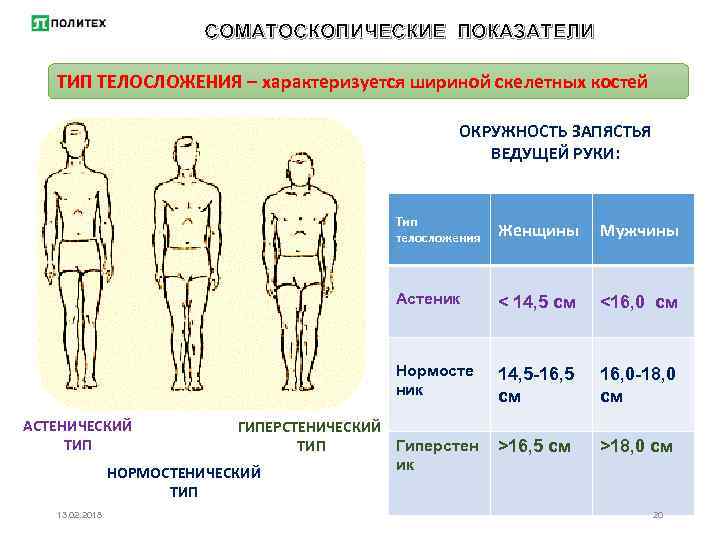 Физические данные тест. Обхват запястья у мужчин Тип телосложения. Типы строения тела эктоморф. Астеник (эктоморф). Тип телосложения нормостенический мезоморф.