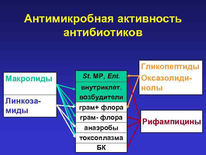 Антимикробная активность антибиотиков Макролиды Линкозамиды St. МР, Ent. внутриклет. возбудители грам+ флора грам- флора