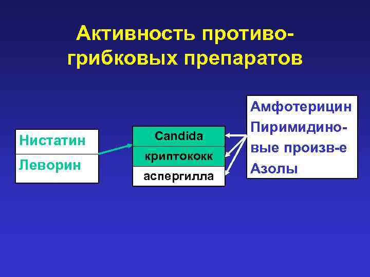 Активность противогрибковых препаратов Нистатин Леворин Candida криптококк аспергилла Амфотерицин Пиримидиновые произв-е Азолы 