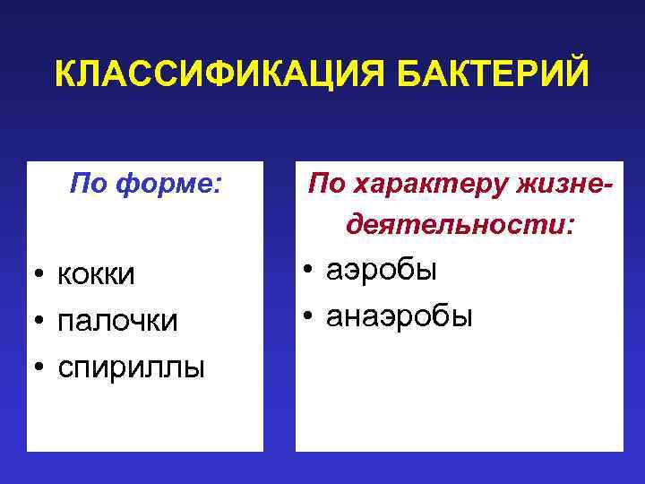 КЛАССИФИКАЦИЯ БАКТЕРИЙ По форме: • кокки • палочки • спириллы По характеру жизнедеятельности: •