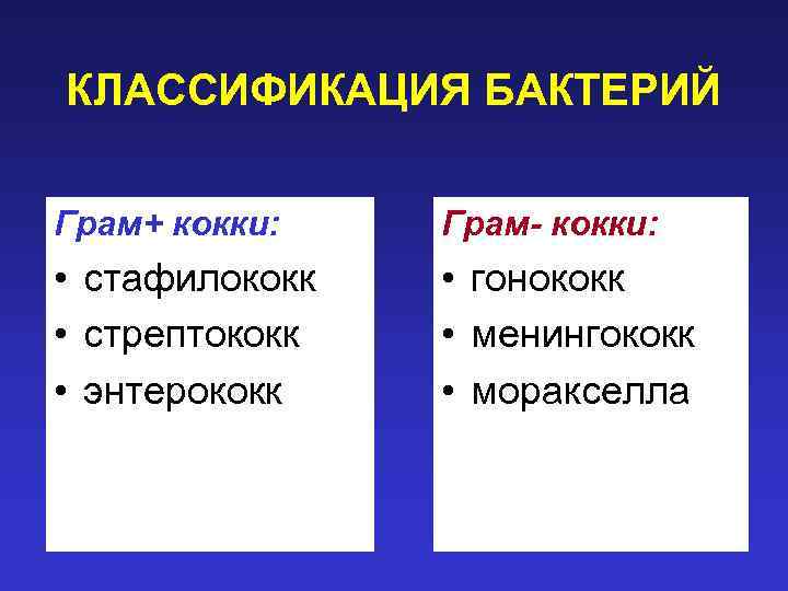 КЛАССИФИКАЦИЯ БАКТЕРИЙ Грам+ кокки: Грам- кокки: • стафилококк • стрептококк • энтерококк • гонококк