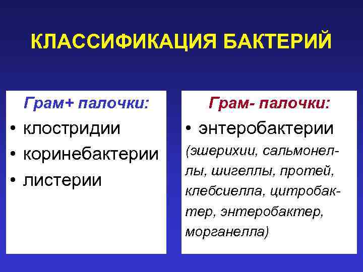 КЛАССИФИКАЦИЯ БАКТЕРИЙ Грам+ палочки: • клостридии • коринебактерии • листерии Грам- палочки: • энтеробактерии