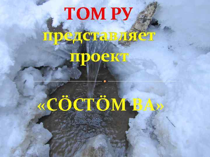 ТОМ РУ представляет проект «СÖСТÖМ ВА» 