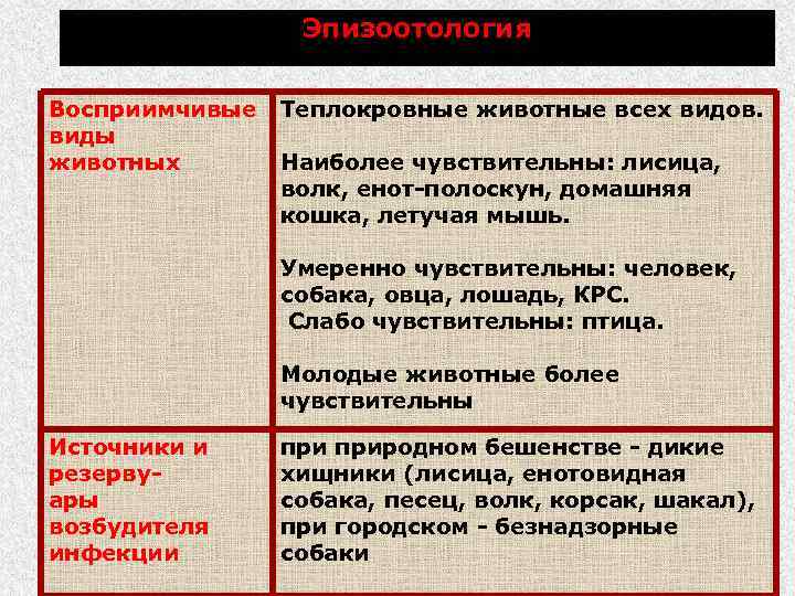 Эпизоотология Восприимчивые виды животных Теплокровные животные всех видов. Наиболее чувствительны: лисица, волк, енот-полоскун, домашняя