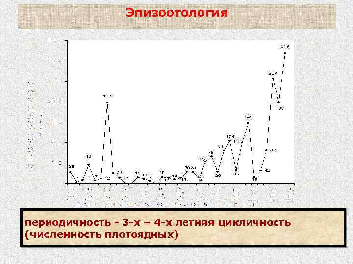 Эпизоотология периодичность - 3 -х – 4 -х летняя цикличность (численность плотоядных) 
