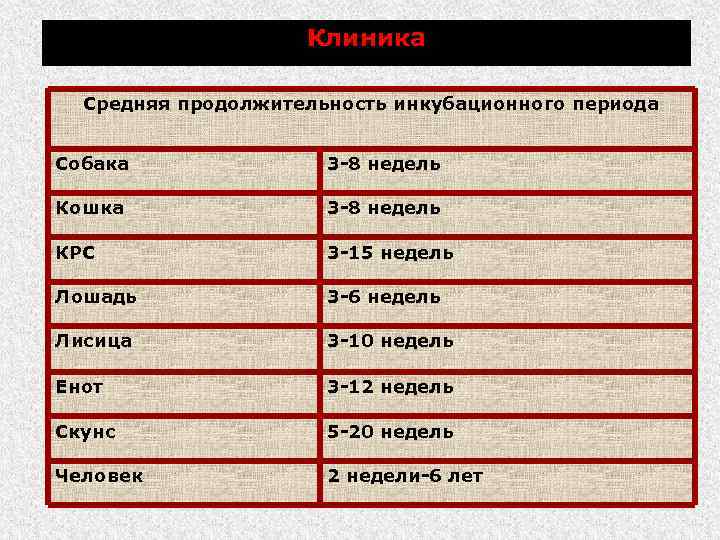 Клиника Средняя продолжительность инкубационного периода Собака 3 -8 недель Кошка 3 -8 недель КРС