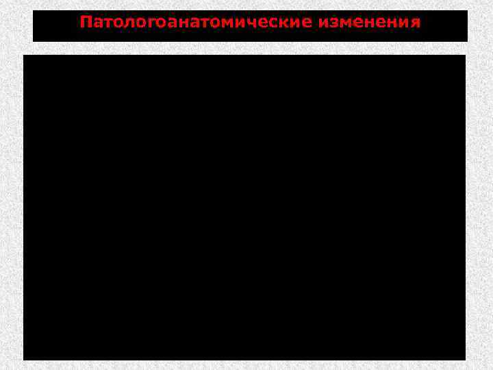 Патологоанатомические изменения При внешнем осмотре: истощение, следы укусов и расчесы, повреждение губ, языка, зубов.