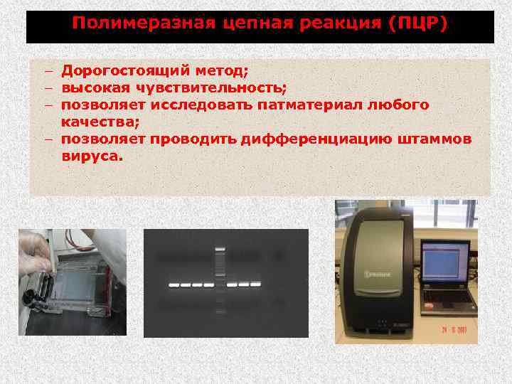 Полимеразная цепная реакция (ПЦР) – Дорогостоящий метод; – высокая чувствительность; – позволяет исследовать патматериал