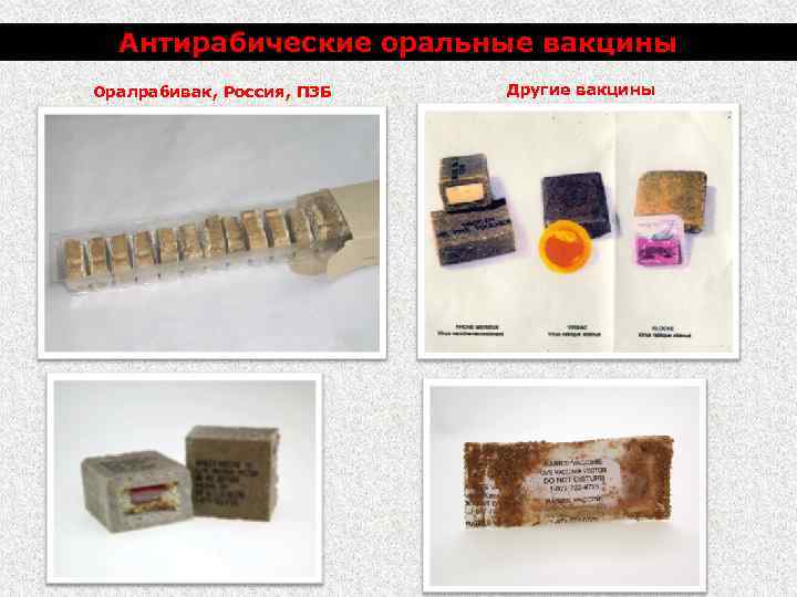 Антирабические оральные вакцины Оралрабивак, Россия, ПЗБ Другие вакцины 