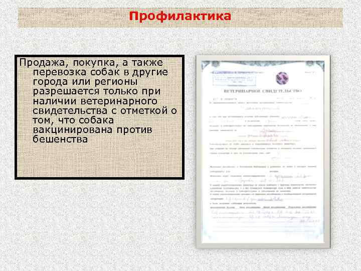 Профилактика Продажа, покупка, а также перевозка собак в другие города или регионы разрешается только