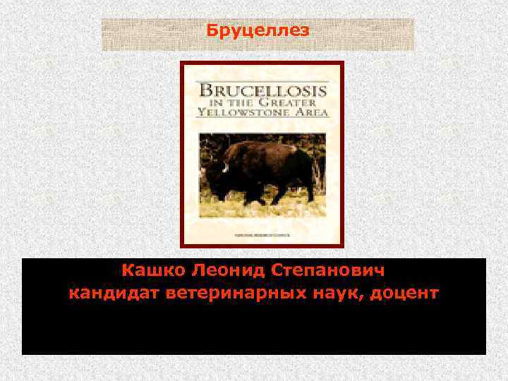 Бруцеллез Кашко Леонид Степанович кандидат ветеринарных наук, доцент 