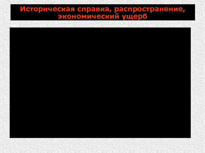Историческая справка, распространение, экономический ущерб 1861 г. – Мэрстон впервые описал бруцеллез при заболевании