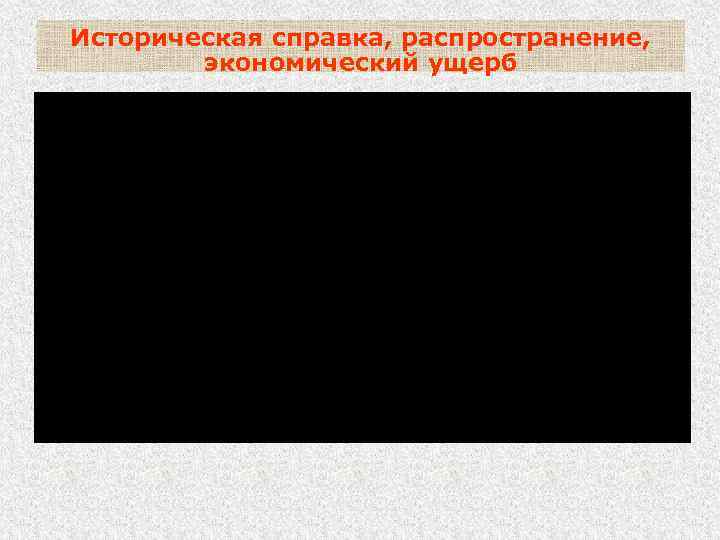 Историческая справка, распространение, экономический ущерб Распространение. Болезнь распространена во многих странах Азии, Африки, Центральной
