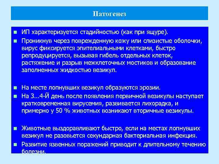 Патогенез ИП характеризуется стадийностью (как при ящуре). n Проникнув через поврежденную кожу или слизистые