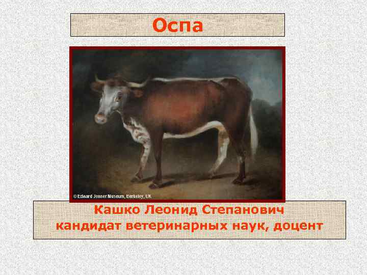 Оспа Кашко Леонид Степанович кандидат ветеринарных наук, доцент 