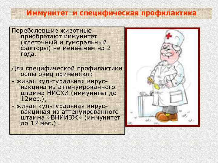 Иммунитет и специфическая профилактика Переболевшие животные приобретают иммунитет (клеточный и гуморальный факторы) не менее