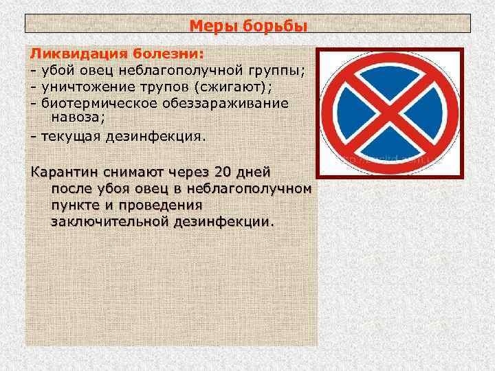 Меры борьбы Ликвидация болезни: - убой овец неблагополучной группы; - уничтожение трупов (сжигают); -