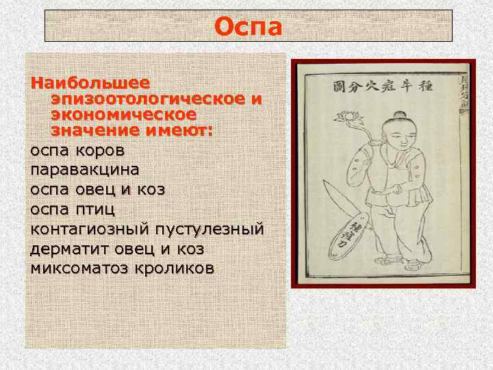 Оспа Наибольшее эпизоотологическое и экономическое значение имеют: оспа коров паравакцина оспа овец и коз