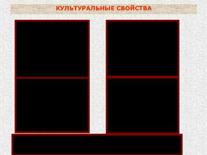 КУЛЬТУРАЛЬНЫЕ СВОЙСТВА МПА и агар Хоттингера – (сходство со снежинками, с головой медузы или