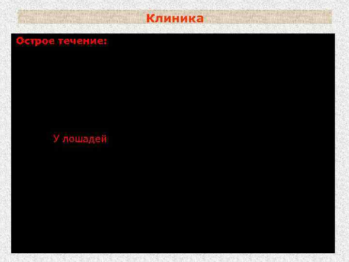 Клиника Острое течение: (характерно для КРС и лошадей): т ра тела до 42 °С;