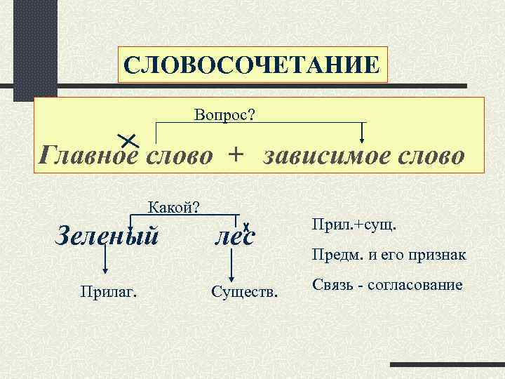 СЛОВОСОЧЕТАНИЕ Вопрос? Главное слово + зависимое слово Какой? Зеленый Прилаг. лес Прил. +сущ. Существ.