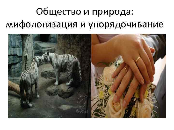 Общество и природа: мифологизация и упорядочивание 