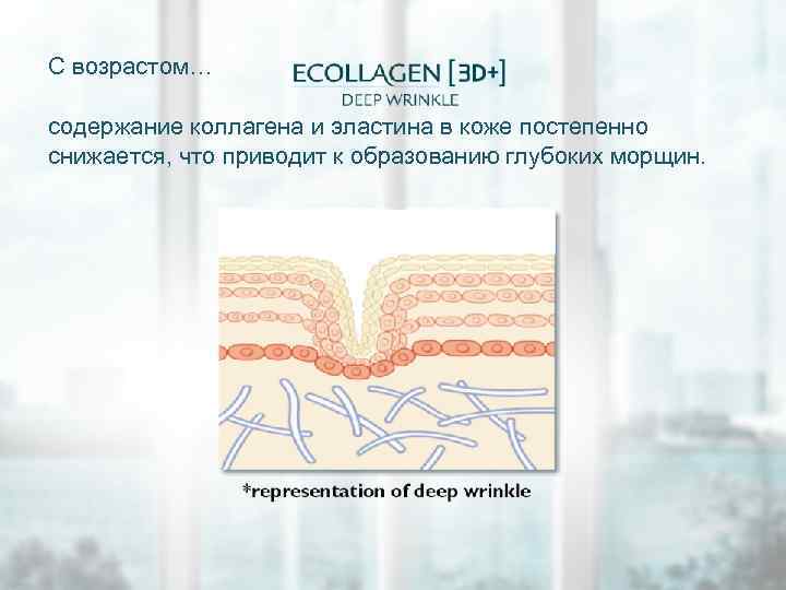 С возрастом… содержание коллагена и эластина в коже постепенно снижается, что приводит к образованию