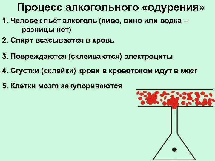 Процесс алкогольного «одурения» 1. Человек пьёт алкоголь (пиво, вино или водка – разницы нет)