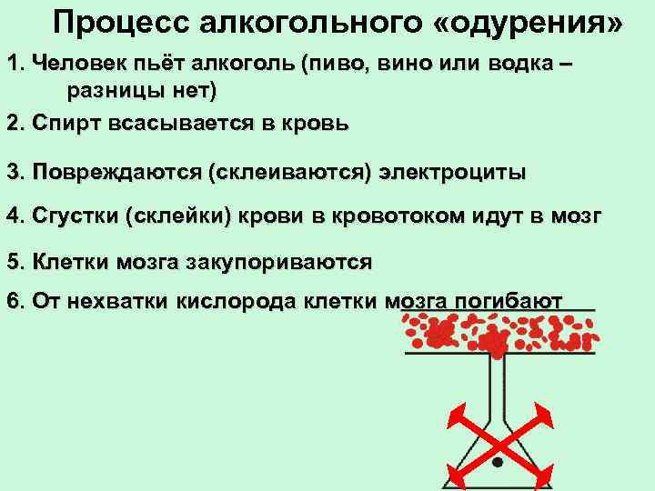 Процесс алкогольного «одурения» 1. Человек пьёт алкоголь (пиво, вино или водка – разницы нет)