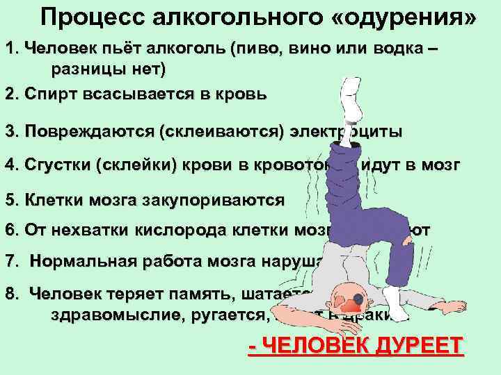 Процесс алкогольного «одурения» 1. Человек пьёт алкоголь (пиво, вино или водка – разницы нет)