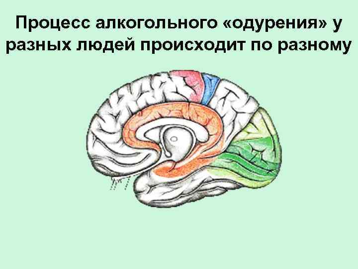 Процесс алкогольного «одурения» у разных людей происходит по разному 