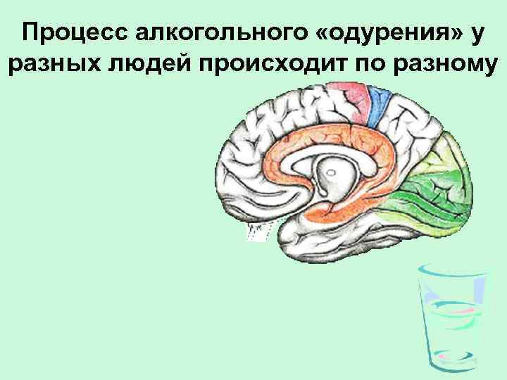 Процесс алкогольного «одурения» у разных людей происходит по разному 