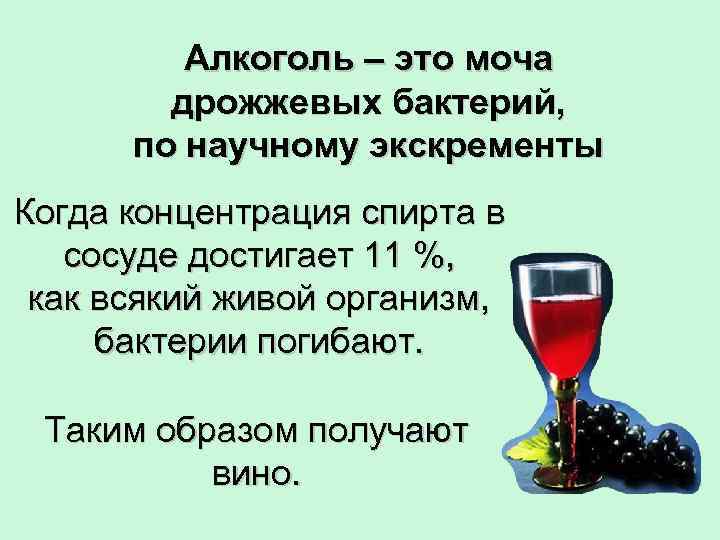 Алкоголь – это моча дрожжевых бактерий, по научному экскременты Когда концентрация спирта в сосуде