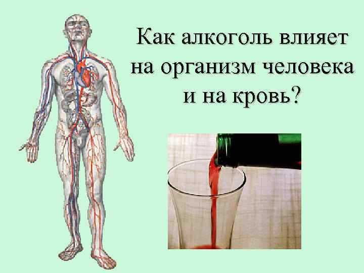 Как алкоголь влияет на организм человека и на кровь? 