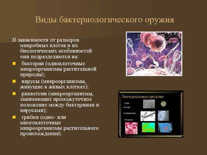  Виды бактериологического оружия В зависимости от размеров микробных клеток и их биологических особенностей