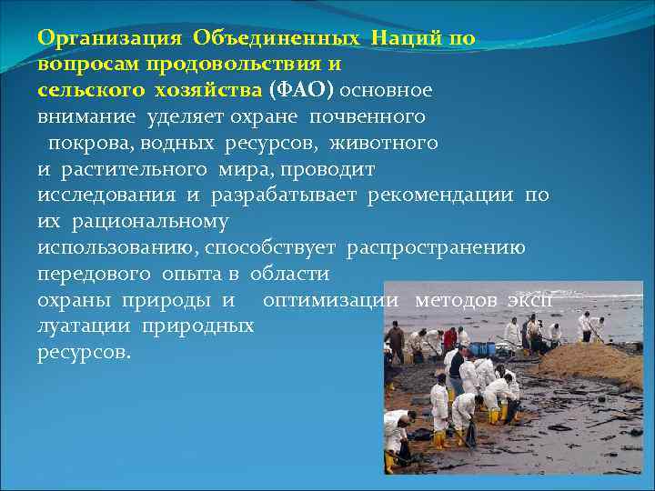 Организация Объединенных Наций по вопросам продовольствия и сельского хозяйства (ФАО) основное внимание уделяет охране