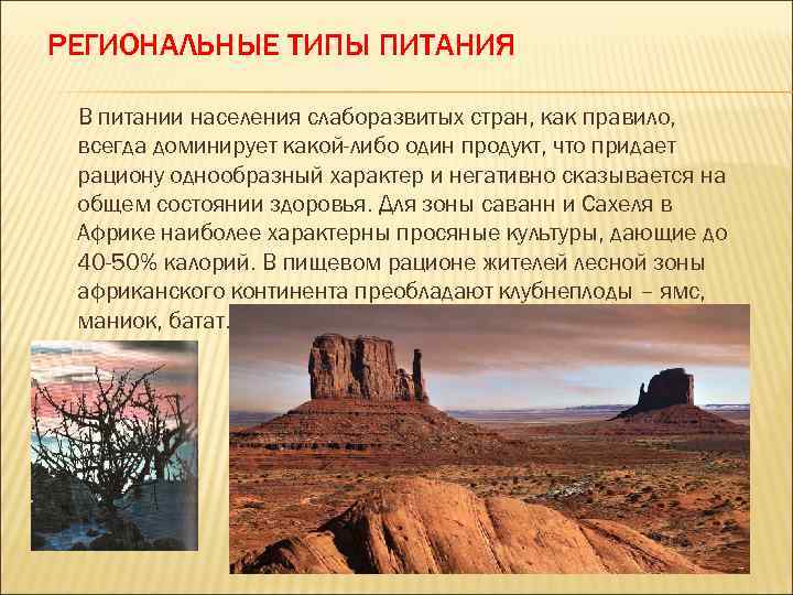 РЕГИОНАЛЬНЫЕ ТИПЫ ПИТАНИЯ В питании населения слаборазвитых стран, как правило, всегда доминирует какой-либо один