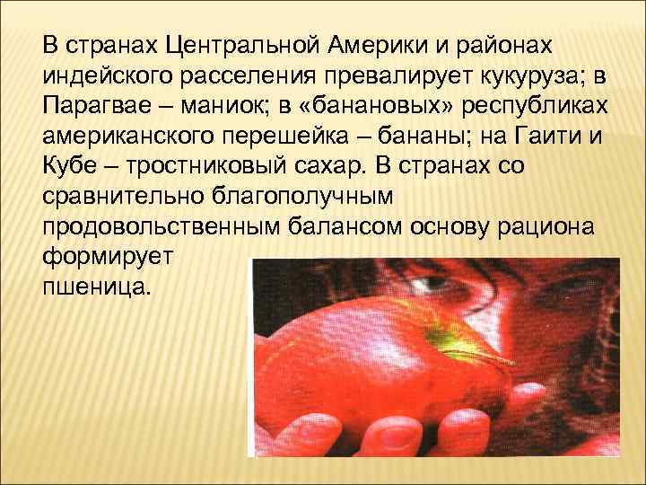В странах Центральной Америки и районах индейского расселения превалирует кукуруза; в Парагвае – маниок;