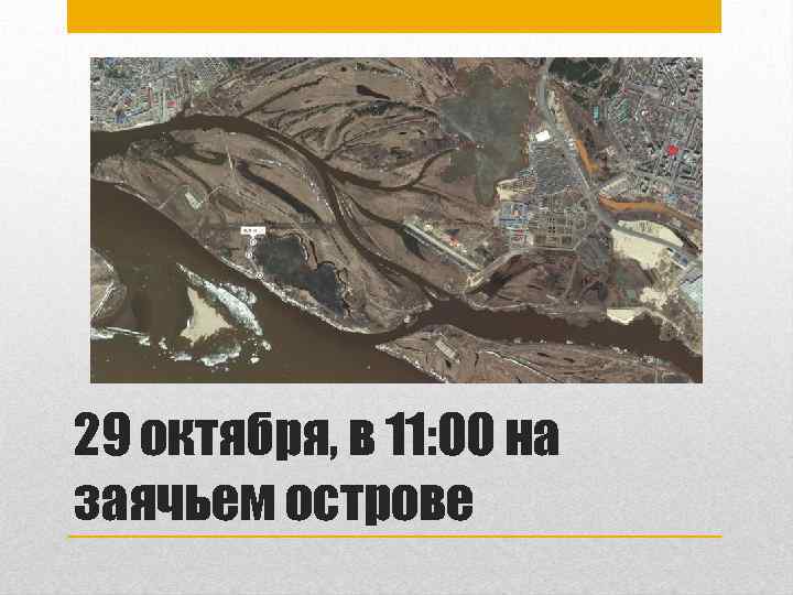 29 октября, в 11: 00 на заячьем острове 