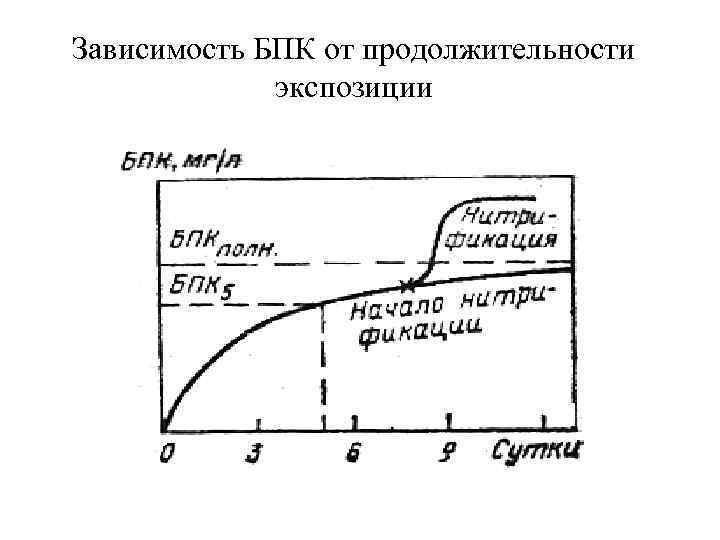 Зависимость БПК от продолжительности экспозиции 