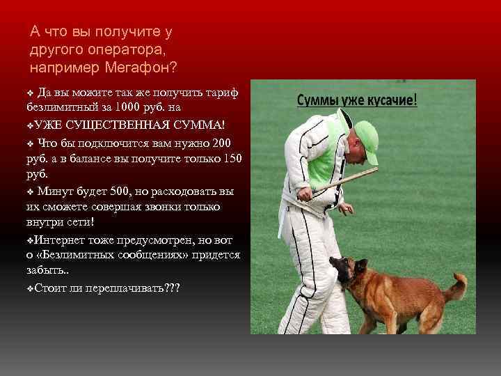 А что вы получите у другого оператора, например Мегафон? Да вы можите так же