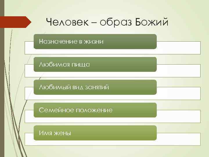 Человек – образ Божий Назначение в жизни Любимая пища Любимый вид занятий Семейное положение