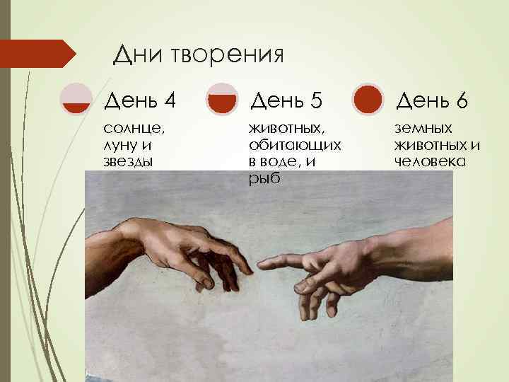 Дни творения День 4 День 5 День 6 солнце, луну и звезды животных, обитающих