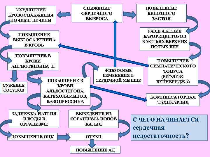 УХУДШЕНИЕ КРОВОСНАБЖЕНИЯ ПОЧЕК И ПЕЧЕНИ СНИЖЕНИЕ СЕРДЕЧНОГО ВЫБРОСА ПОВЫШЕНИЕ ВЕНОЗНОГО ЗАСТОЯ РАЗДРАЖЕНИЕ БАРОРЕЦЕПТОРОВ В