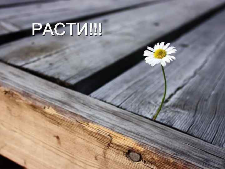 РАСТИ!!! 