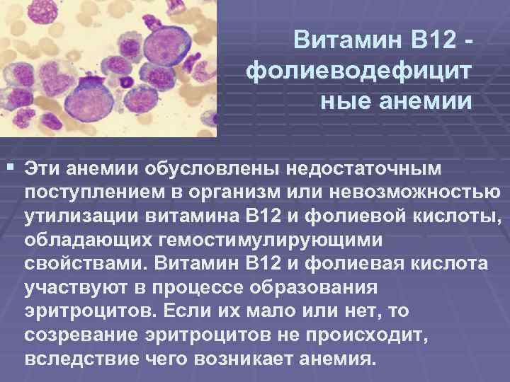 Витамины для костного мозга. В12 дефицитная анемия костный мозг. В12 фолиеводефицитная анемия. Витамин в12 при анемии. Классификация b12 дефицитной анемии.