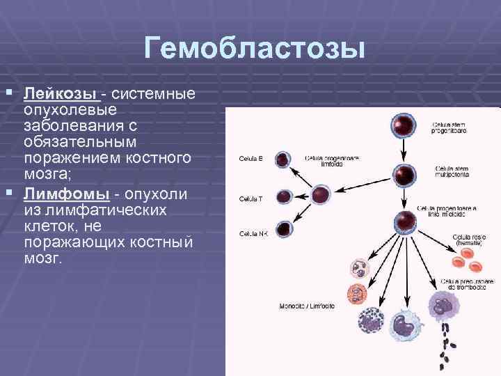 Лейкозы презентация пропедевтика